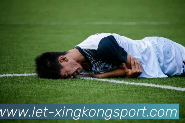 多媒体互动体验